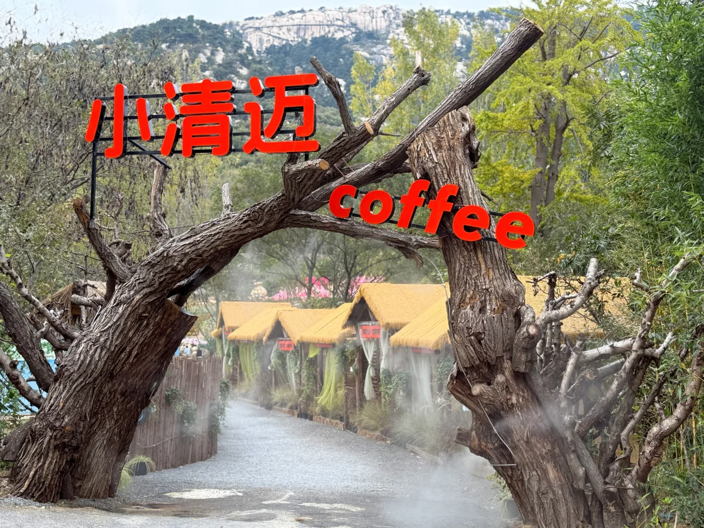 临沂天蒙山-⛰️北方“小婺源”