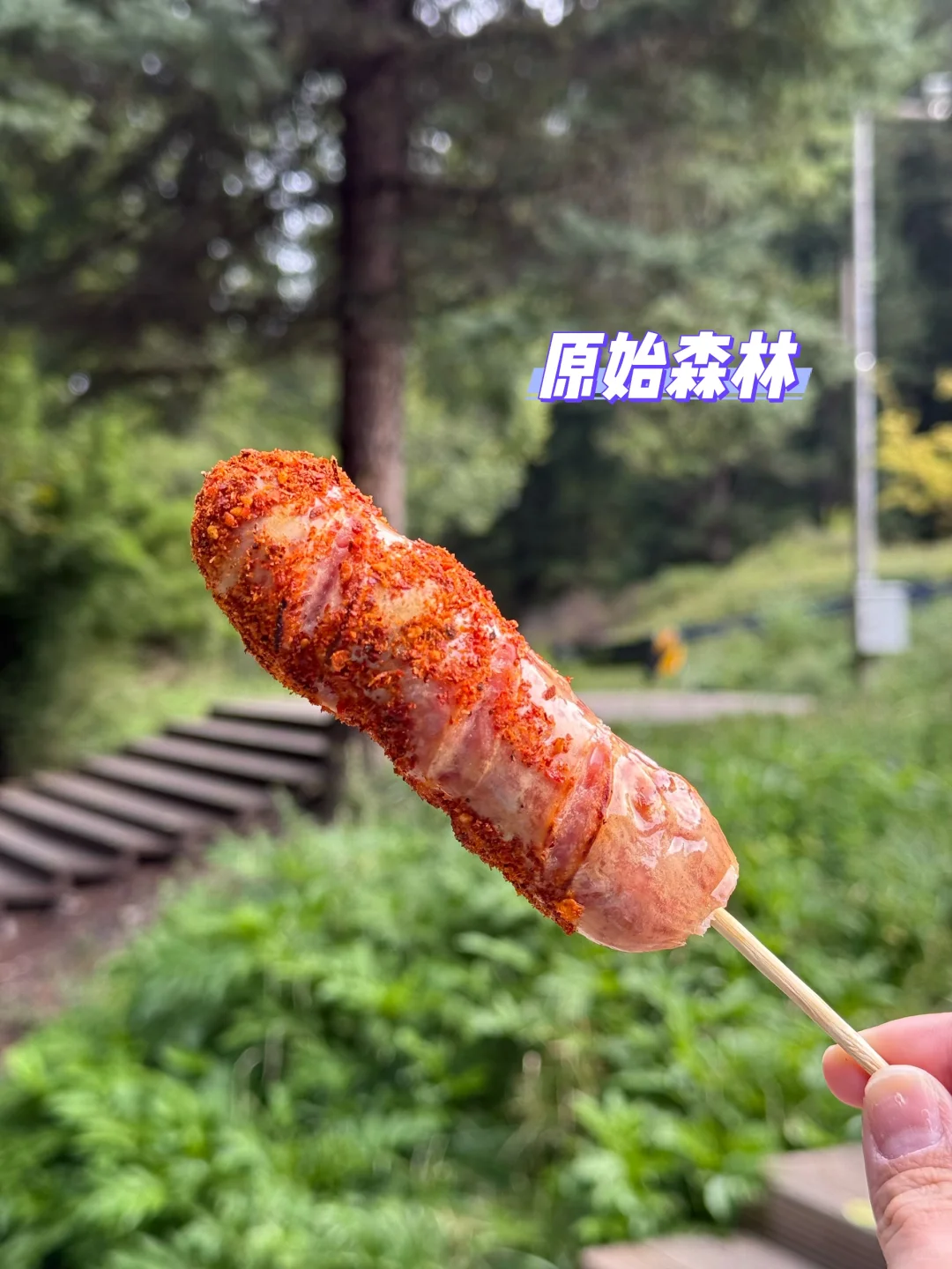 能把烤肠做进九寨沟攻略的能是什么坏人呢