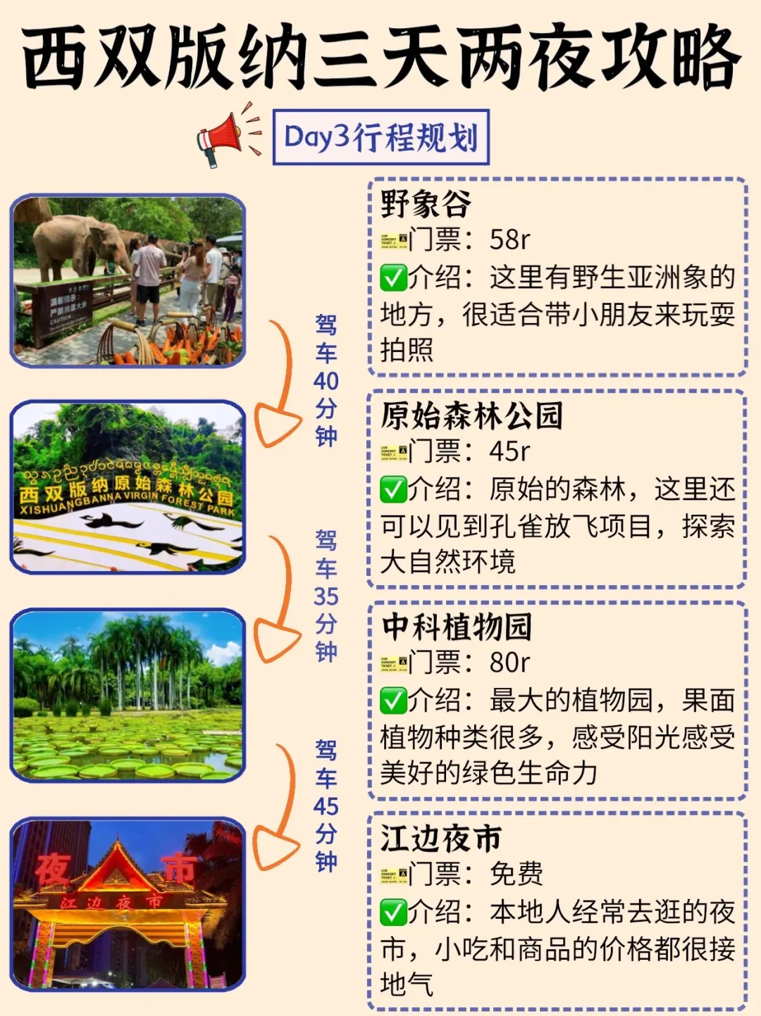 西双版纳三天两夜✅保姆级攻略来咯🙋‍♀️