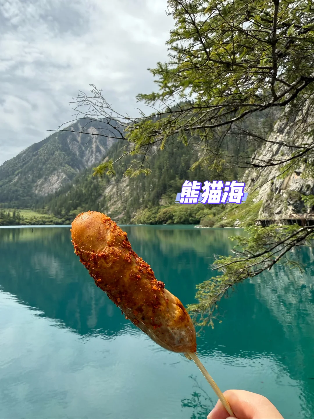 能把烤肠做进九寨沟攻略的能是什么坏人呢