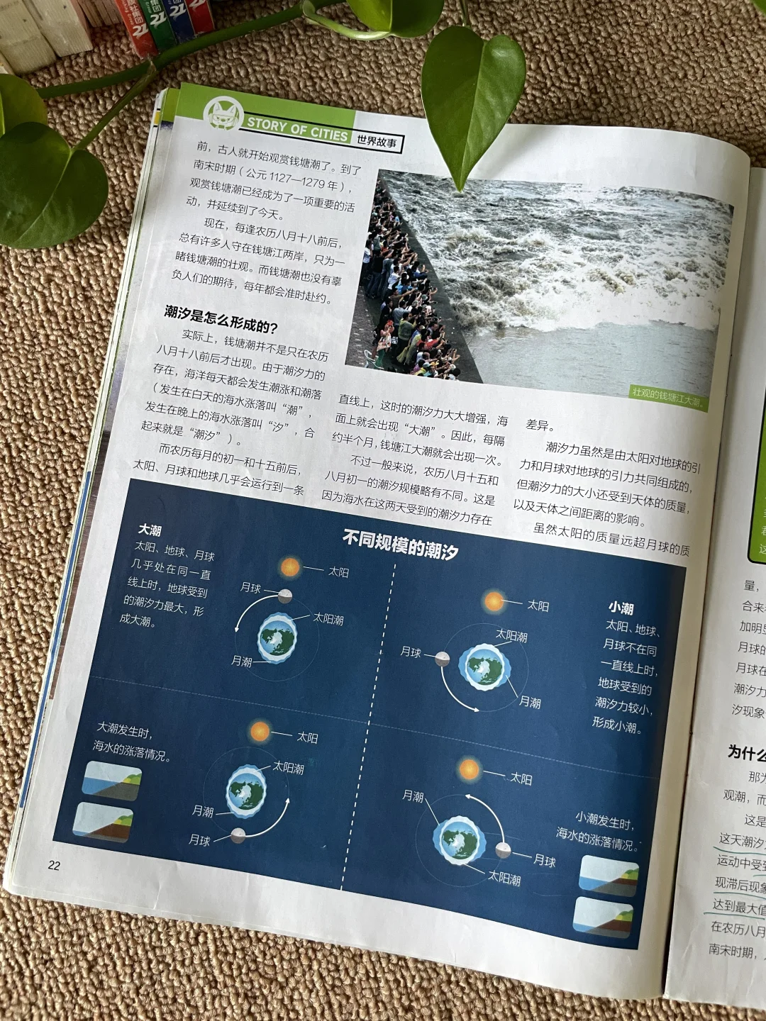 没去杭州？先看《好奇号》！📚