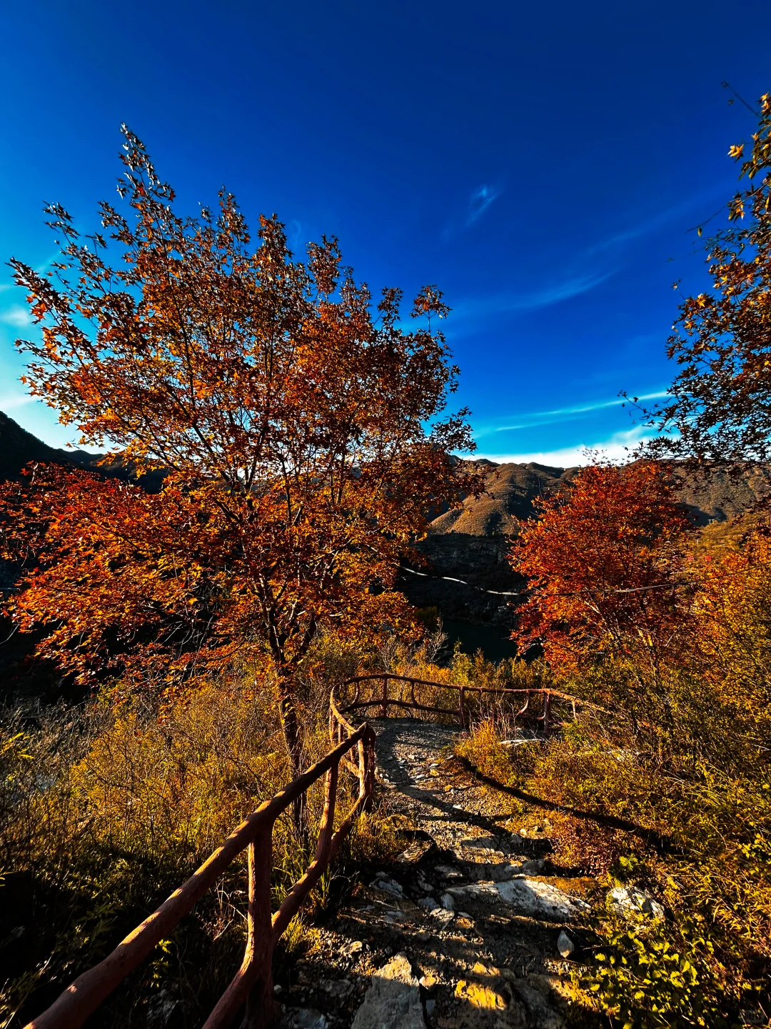 接下来的北平之秋🍂这几个地方便是人间天堂