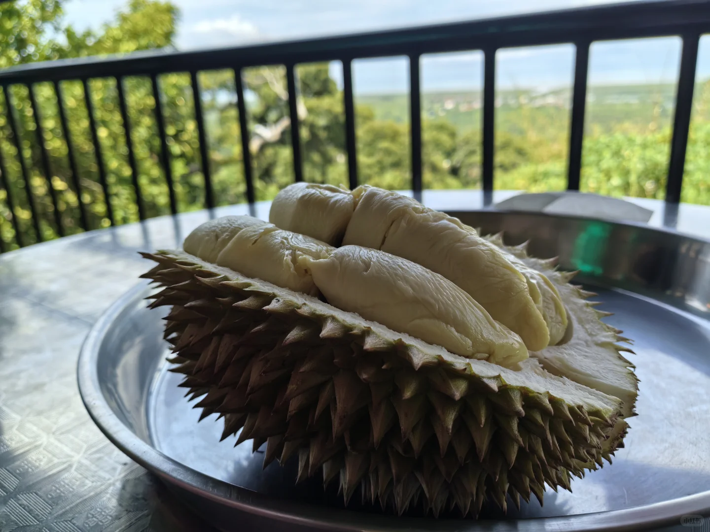 槟城五天小游