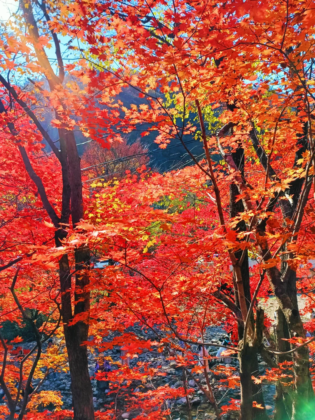 辽宁赏秋|本桓公路免费冷门拍照点详解