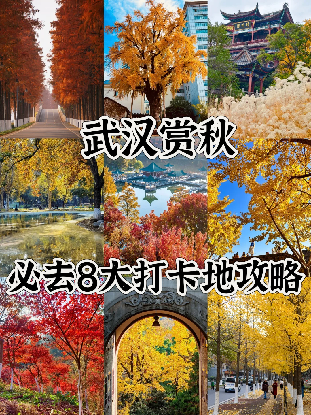 2025武汉赏秋8大打卡地！