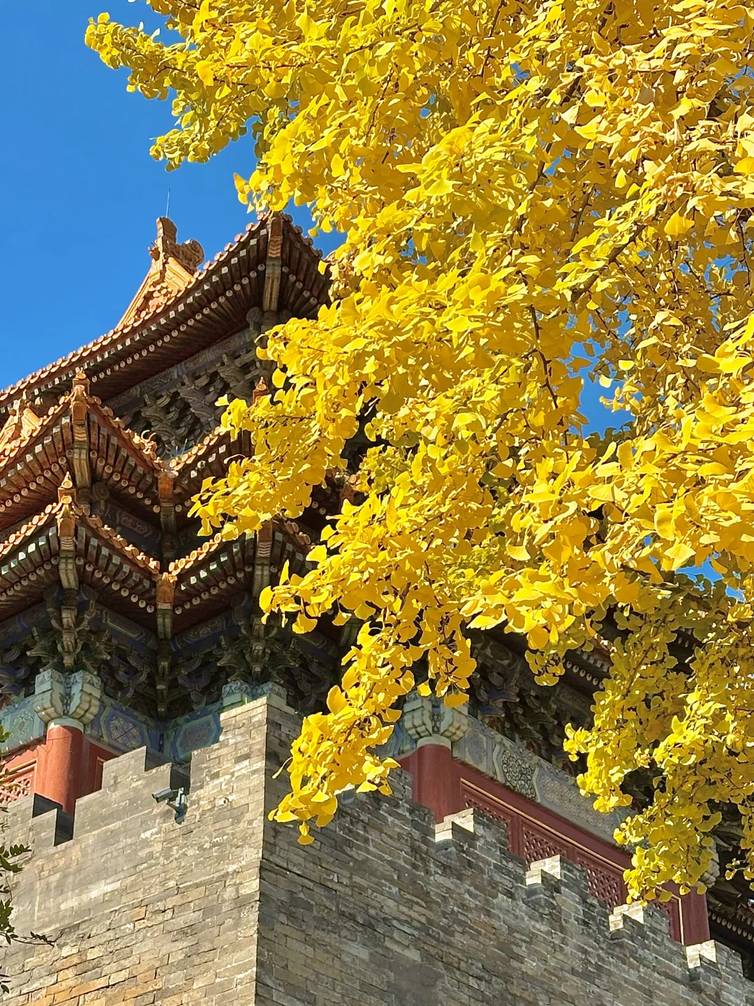北平之秋已上线!北京必逛的8️⃣条赏秋路线!