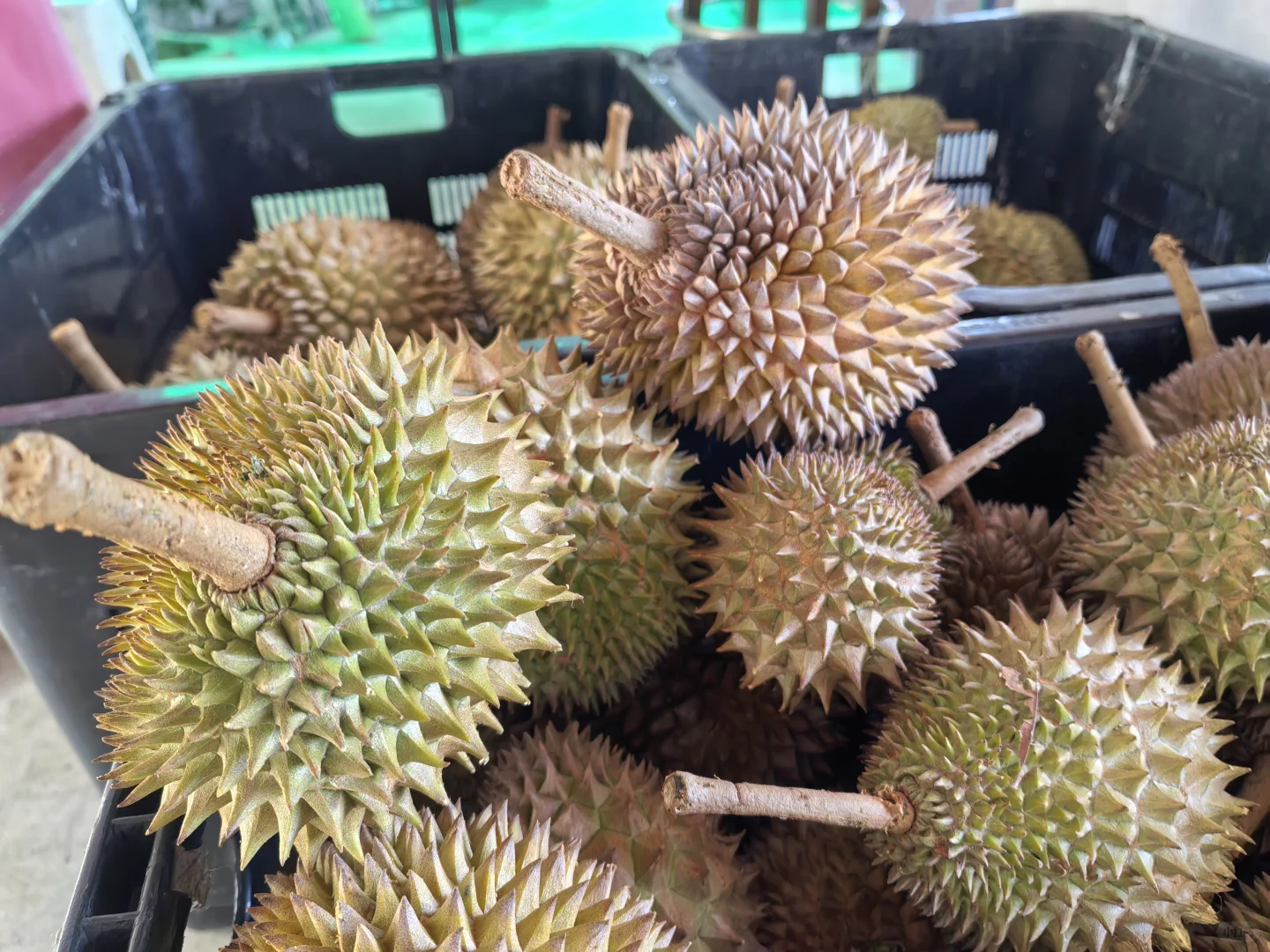 槟城五天小游