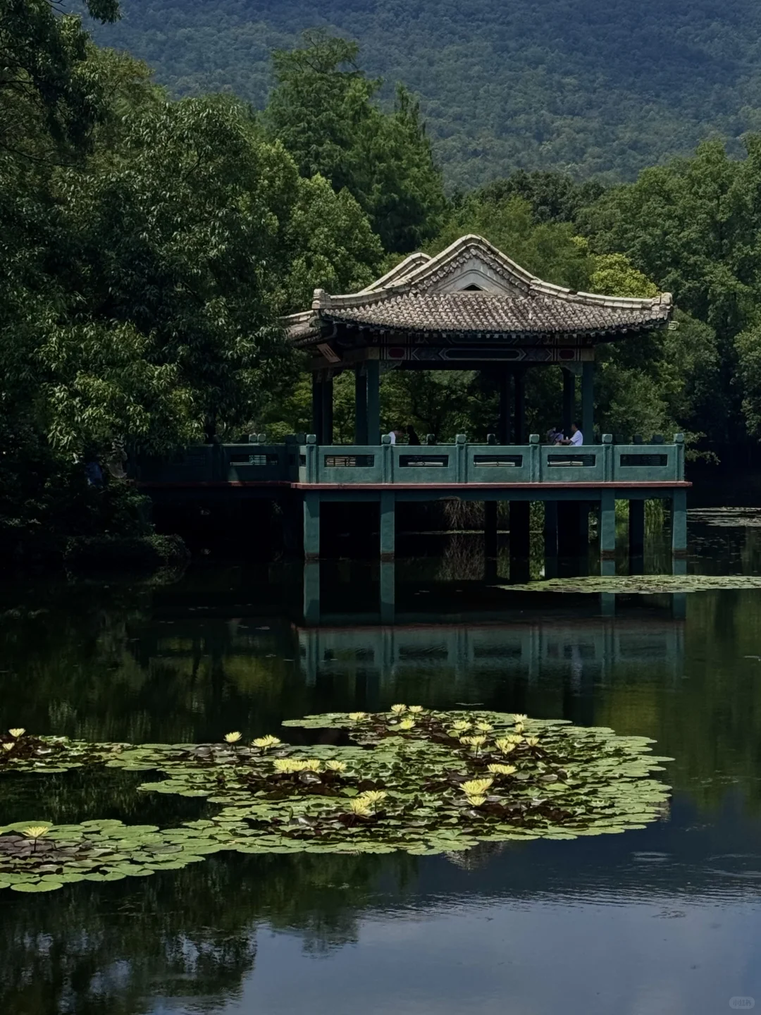 比起中山陵，我更爱逛她边上这个小众景点🍃