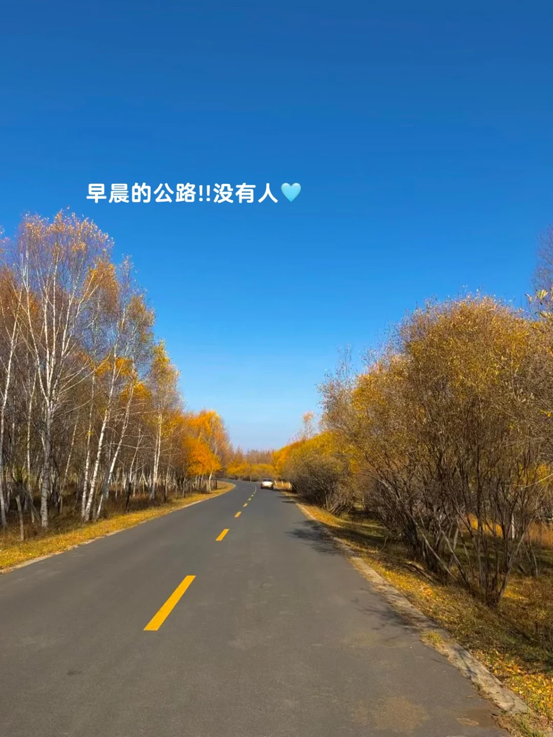 10.3塞罕坝!御道口!实况!!好美!!(攻略)