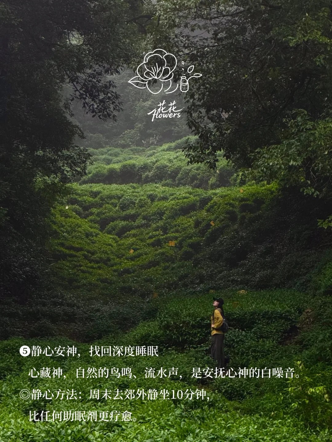《黄帝内经》：人一定要经常出去玩😃