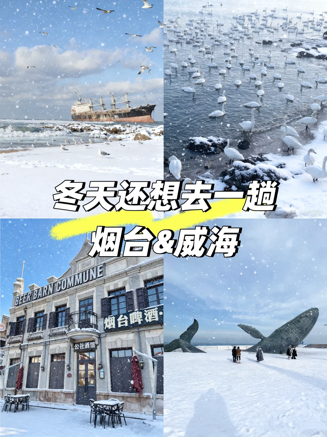 冬天冲烟威7天攻略！