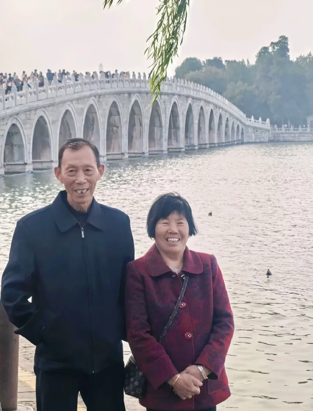 大力推荐我带爷爷报的北京当地团（不是托）