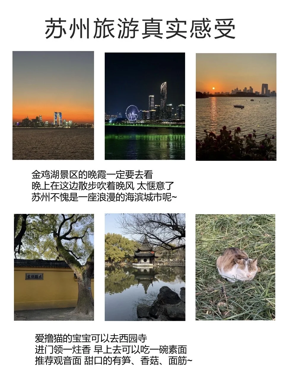 为什么去苏州之前没看到这篇😭崩溃中。。。
