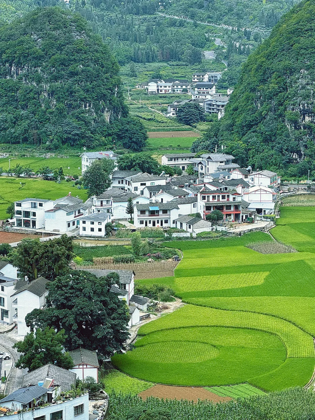 今年暑假,只想带娃去一个地方:贵州兴义