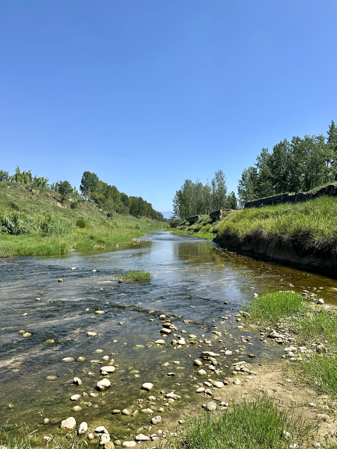 秦岭山与河视频没想到好多人喜欢，图片安排