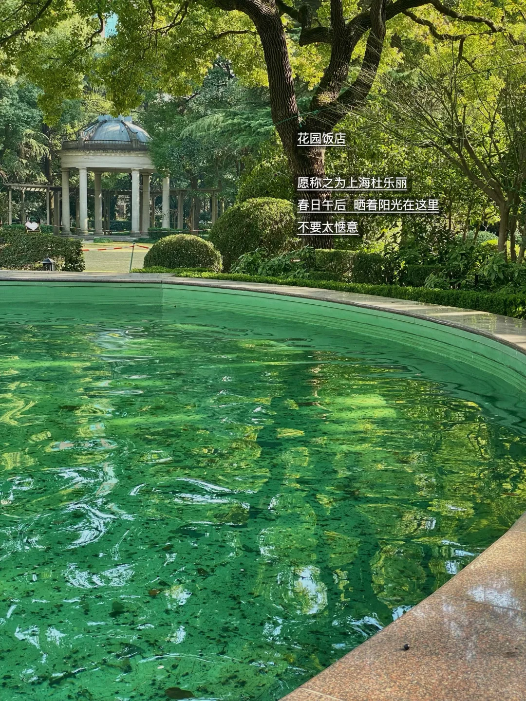 每个来沪的朋友都会被我带来....