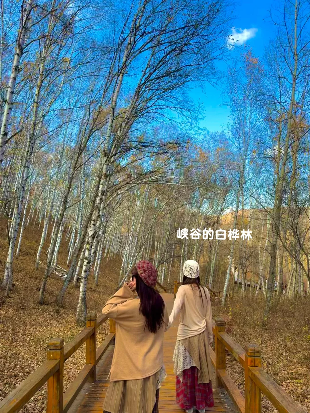 10.3塞罕坝!御道口!实况!!好美!!(攻略)