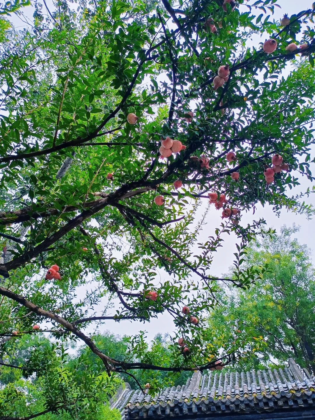 📍𝐙𝐡𝐞𝐧𝐠𝐃𝐢𝐧𝐠