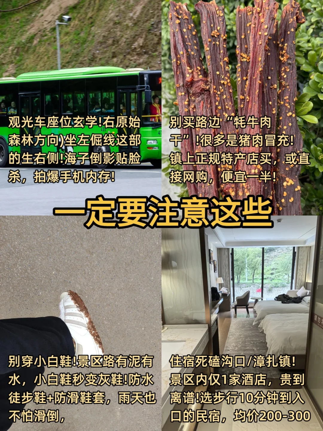为什么九寨沟旅游前没刷到这篇😭