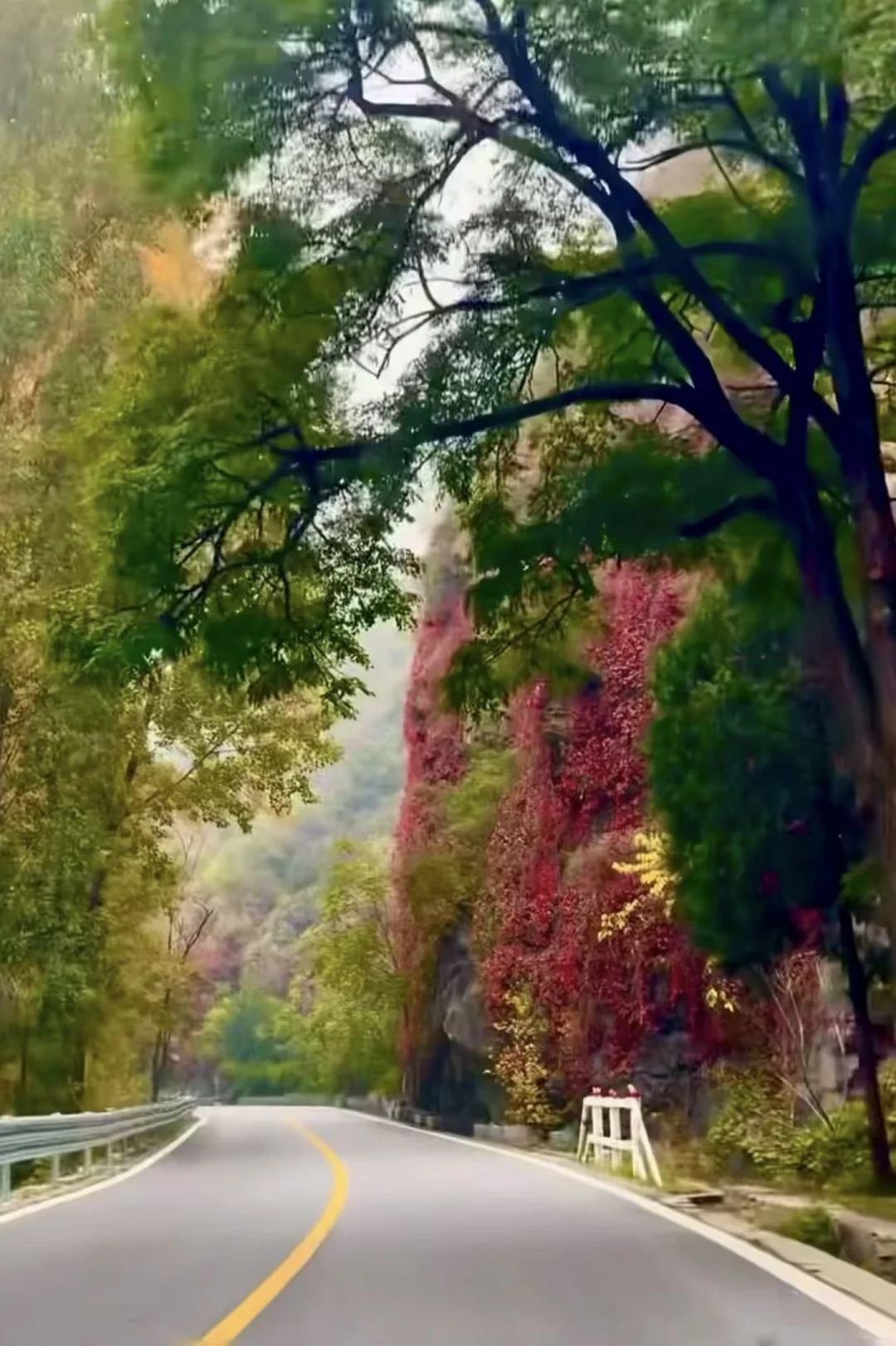 北京出发2h🚗我以为到了喀纳斯❗️附攻略