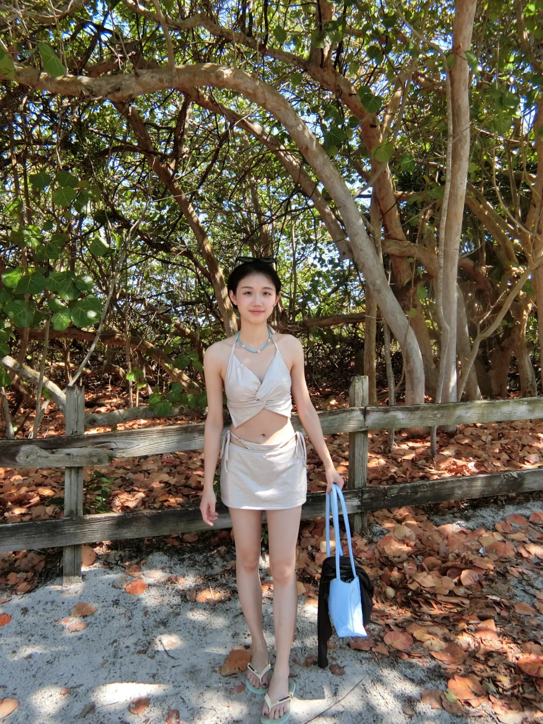 看一片新的海