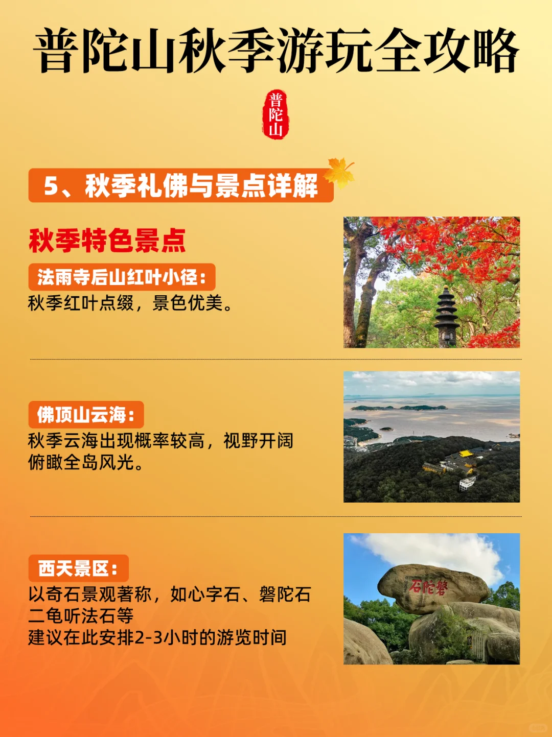 秋天来普陀山才是最棒的！一篇告诉你