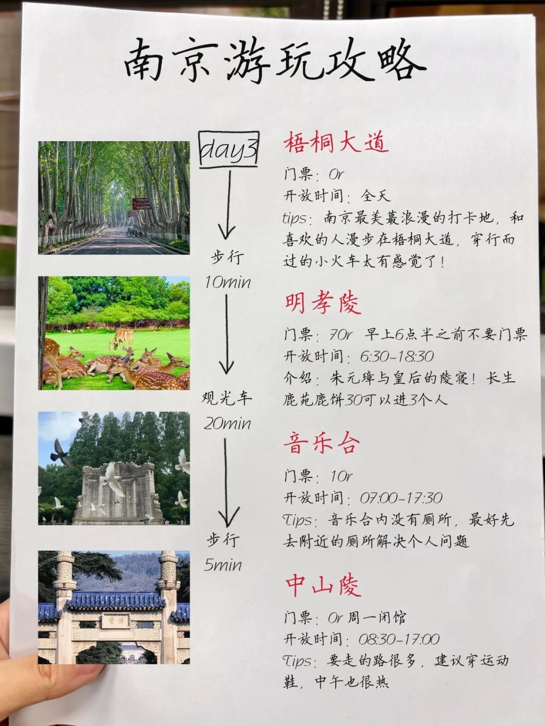 连夜整理！南京土著朋友做的旅游攻略太全了