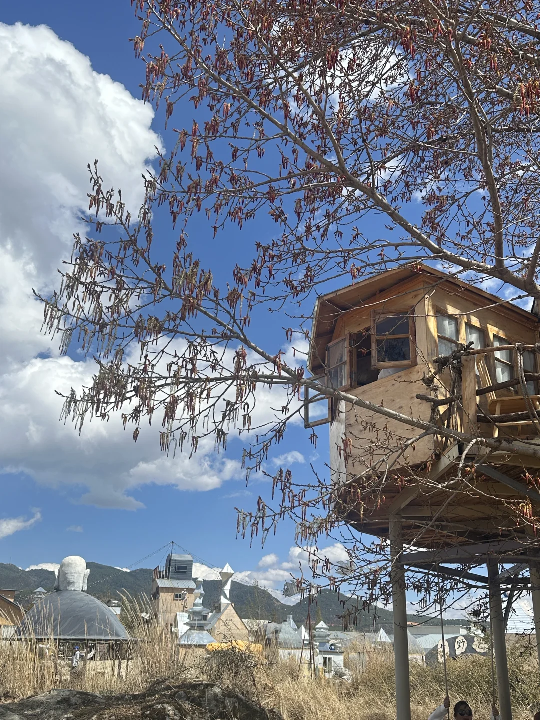 入梦荒野之国｜动漫照进现实的童话小屋🏠