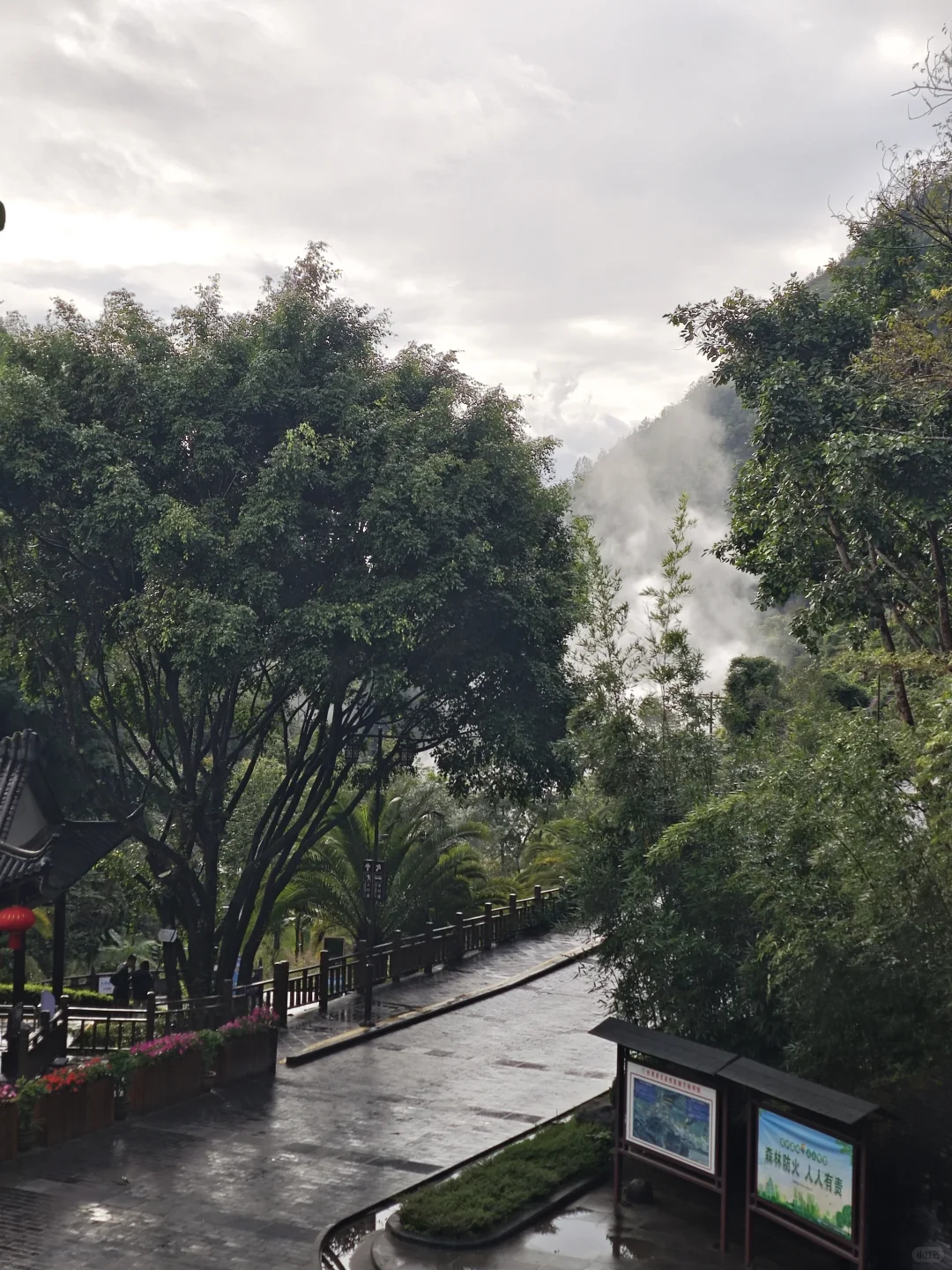 火山与热海