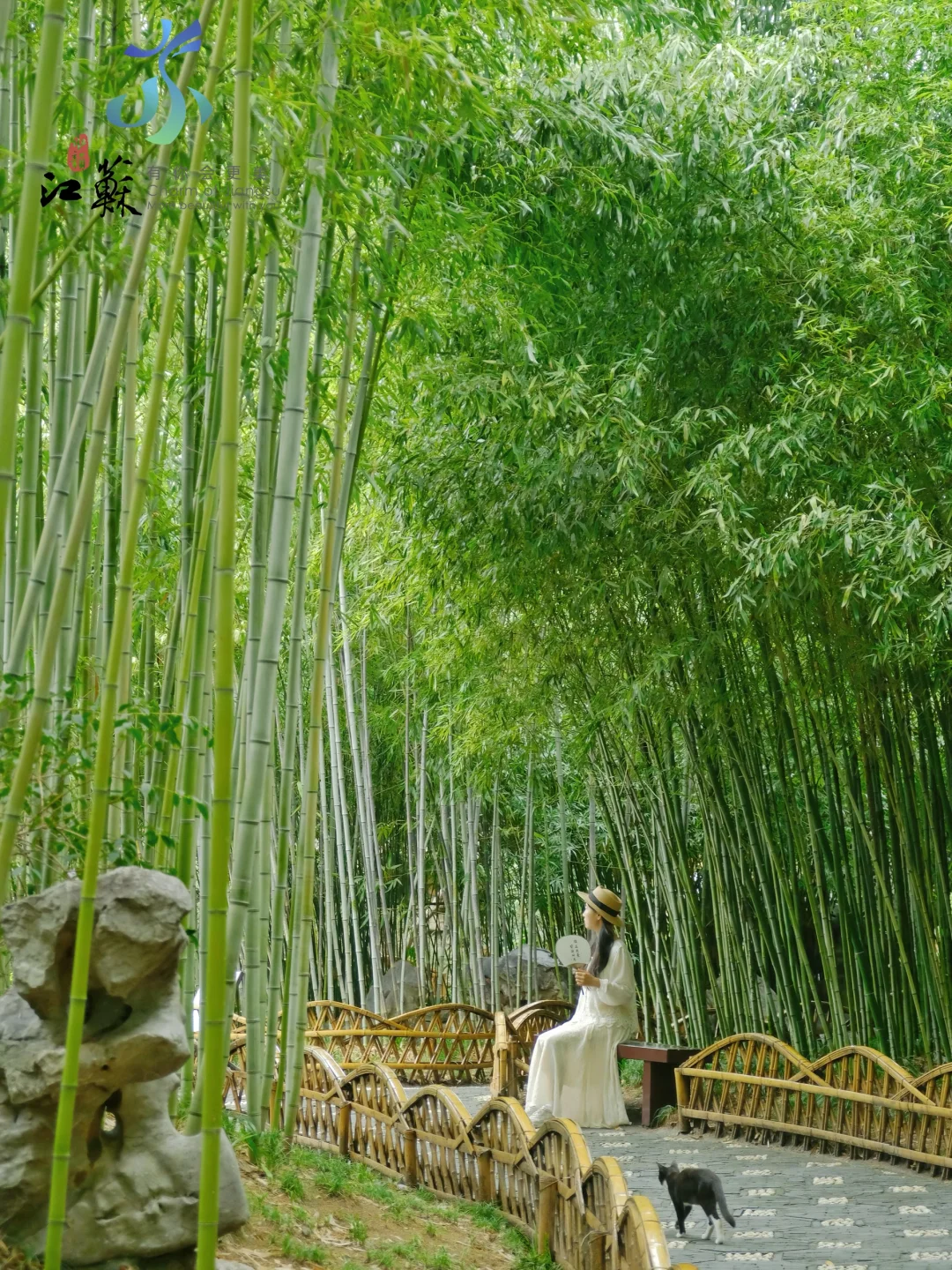 江浙沪旅行推荐一个真正宝藏的江南小城‼️