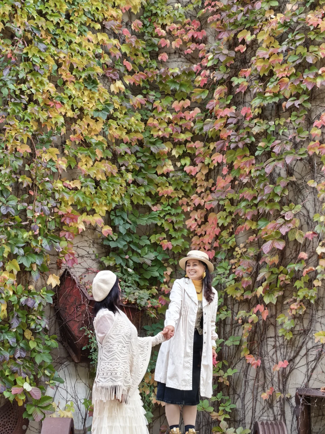 10.16日大连实况|秋天的大连🍁