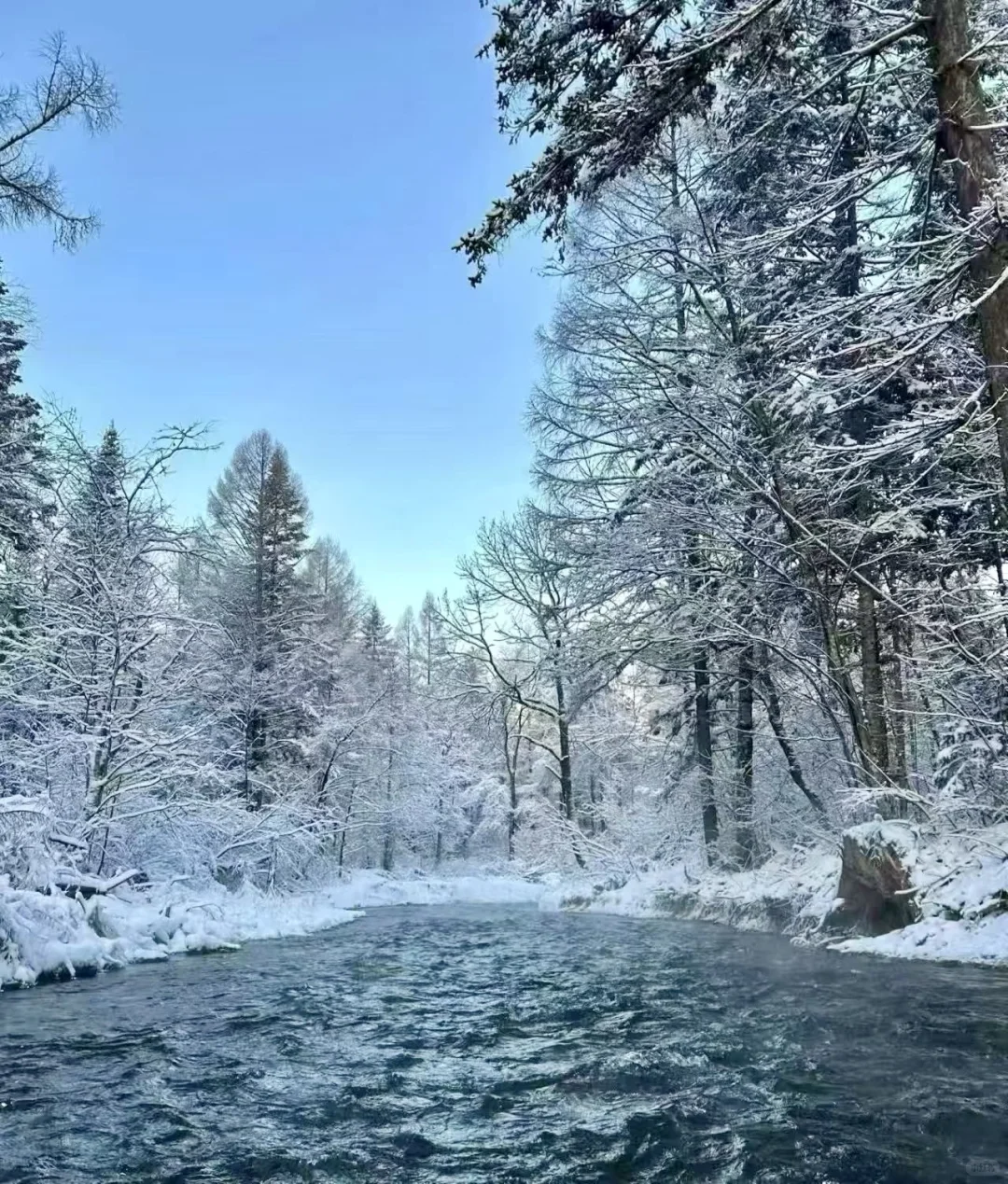 来长白山不踩雷 这么美的雪景怎么能拒绝