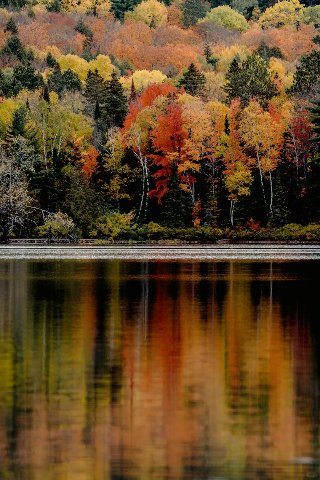 接下来的北平之秋🍂这几个地方便是人间天堂