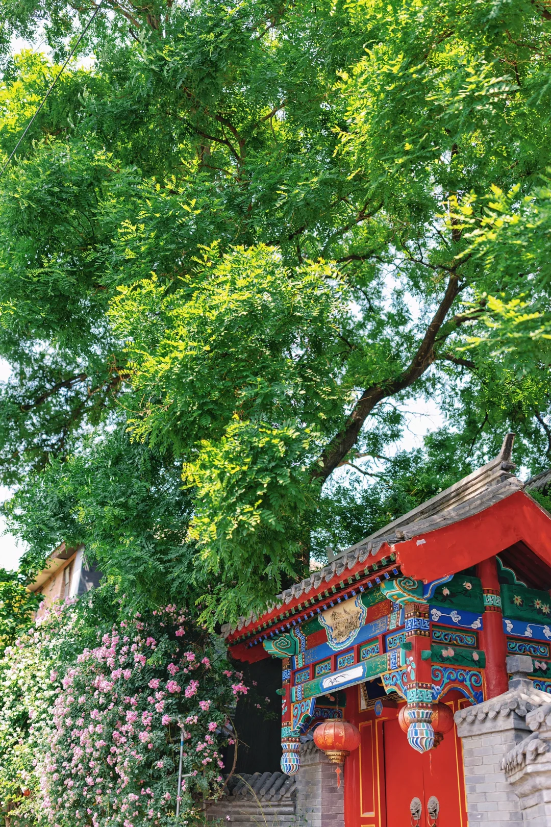 北京City walk｜初夏胡同🌺浪漫一日游路线🔥
