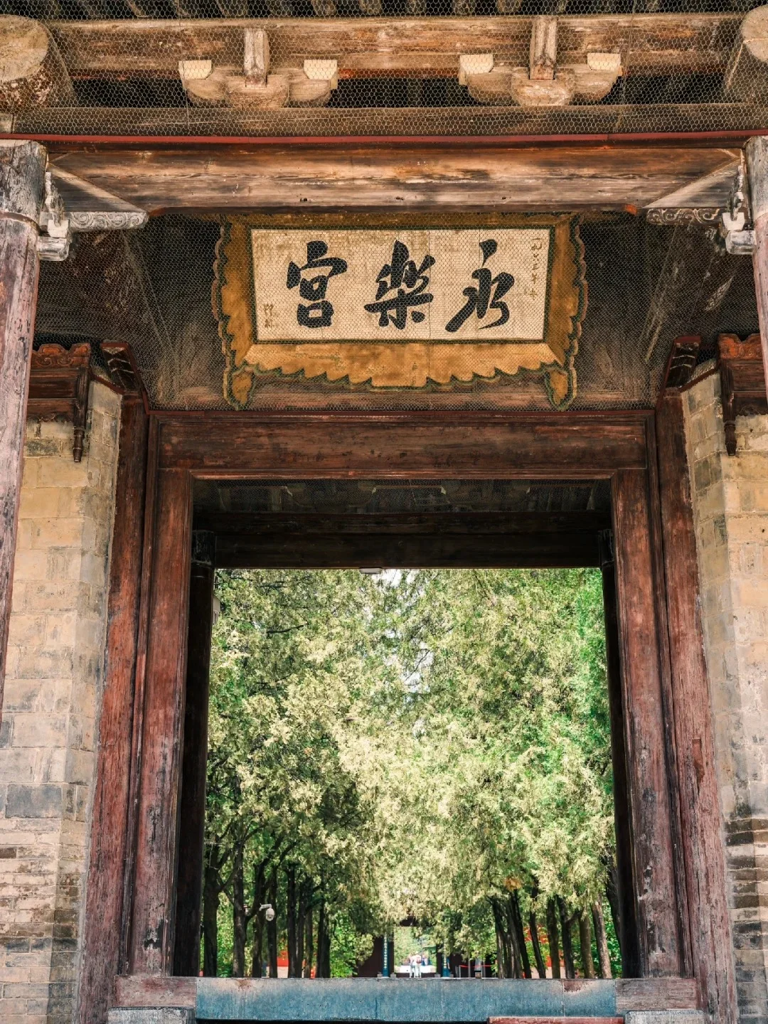 运城必去九大景点‼️