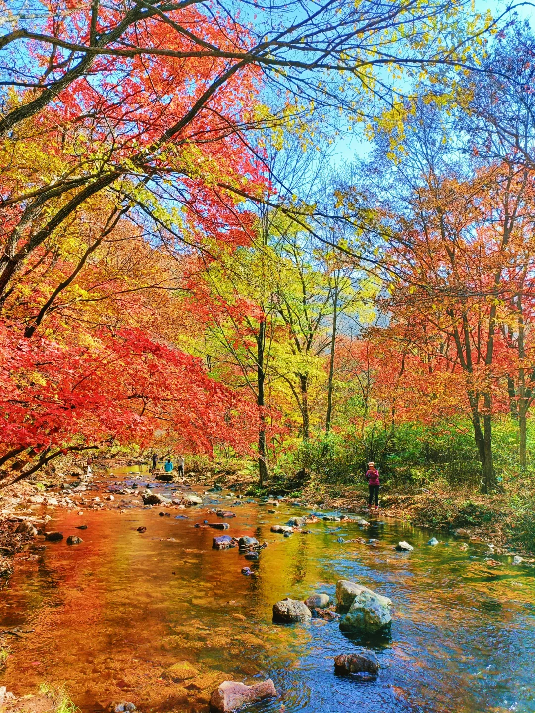 辽宁赏秋|本桓公路免费冷门拍照点详解