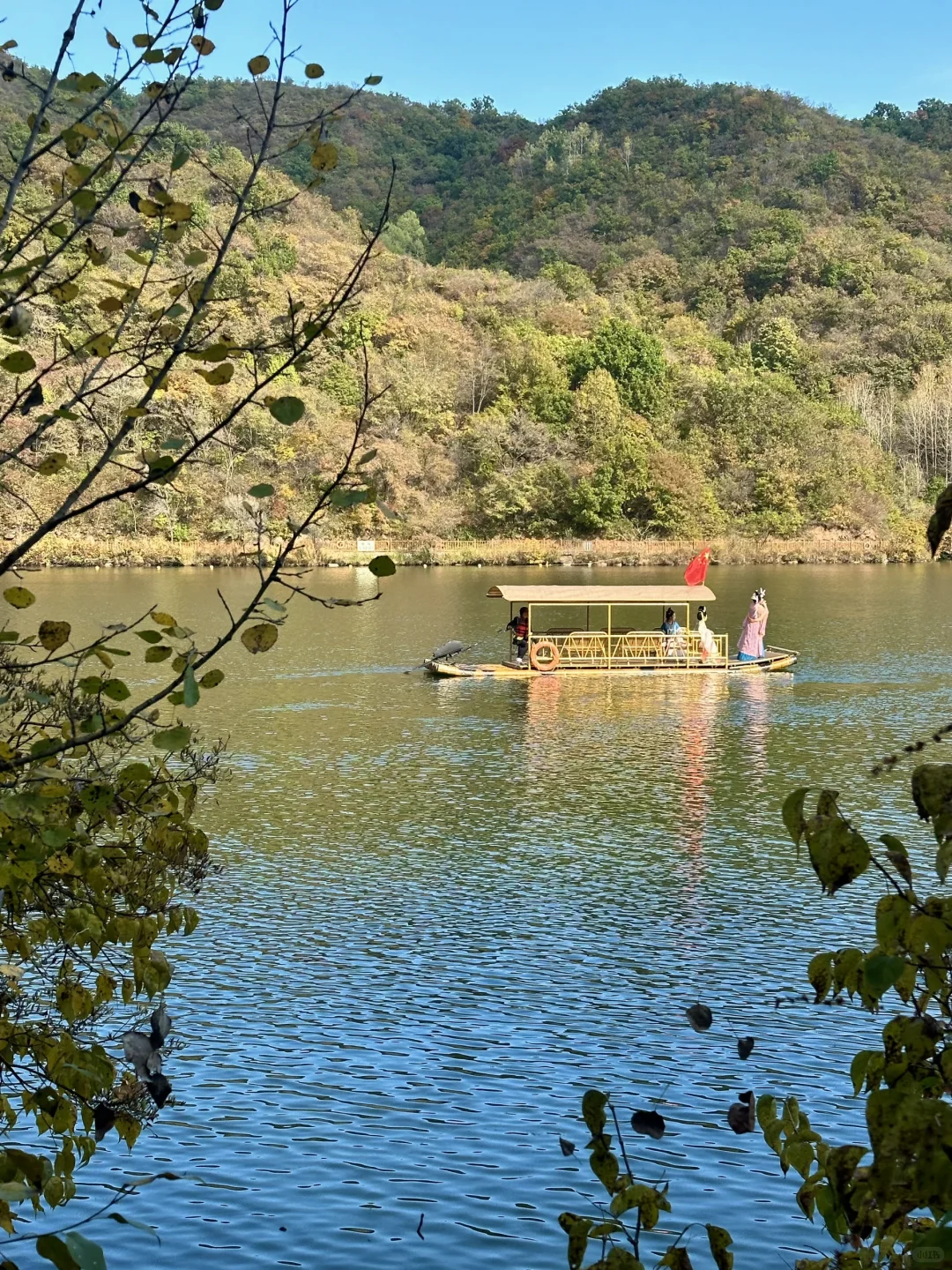 自驾1.5h🍁北京周边的“原始森林”