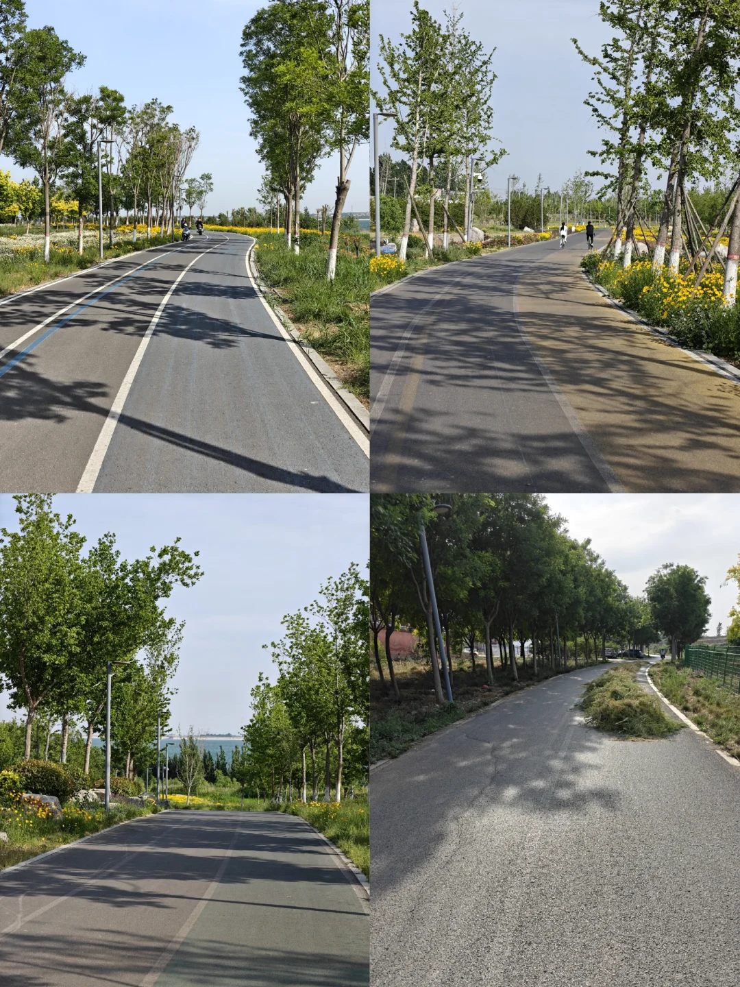 邯郸行惊喜之溢泉湖19.6km环湖🚴🏻‍♂