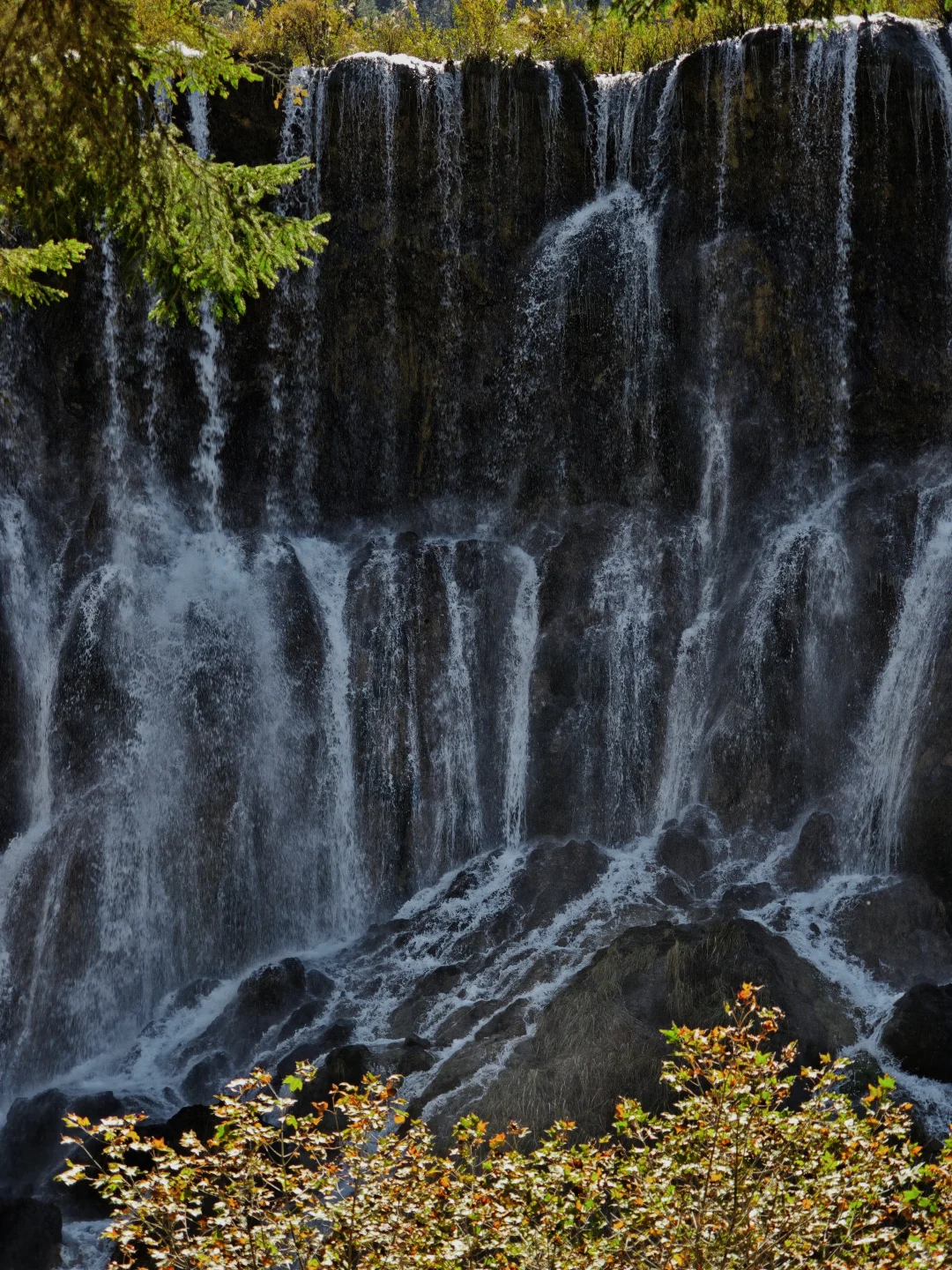 九寨沟很美,但我不会再去,原因在最后一张