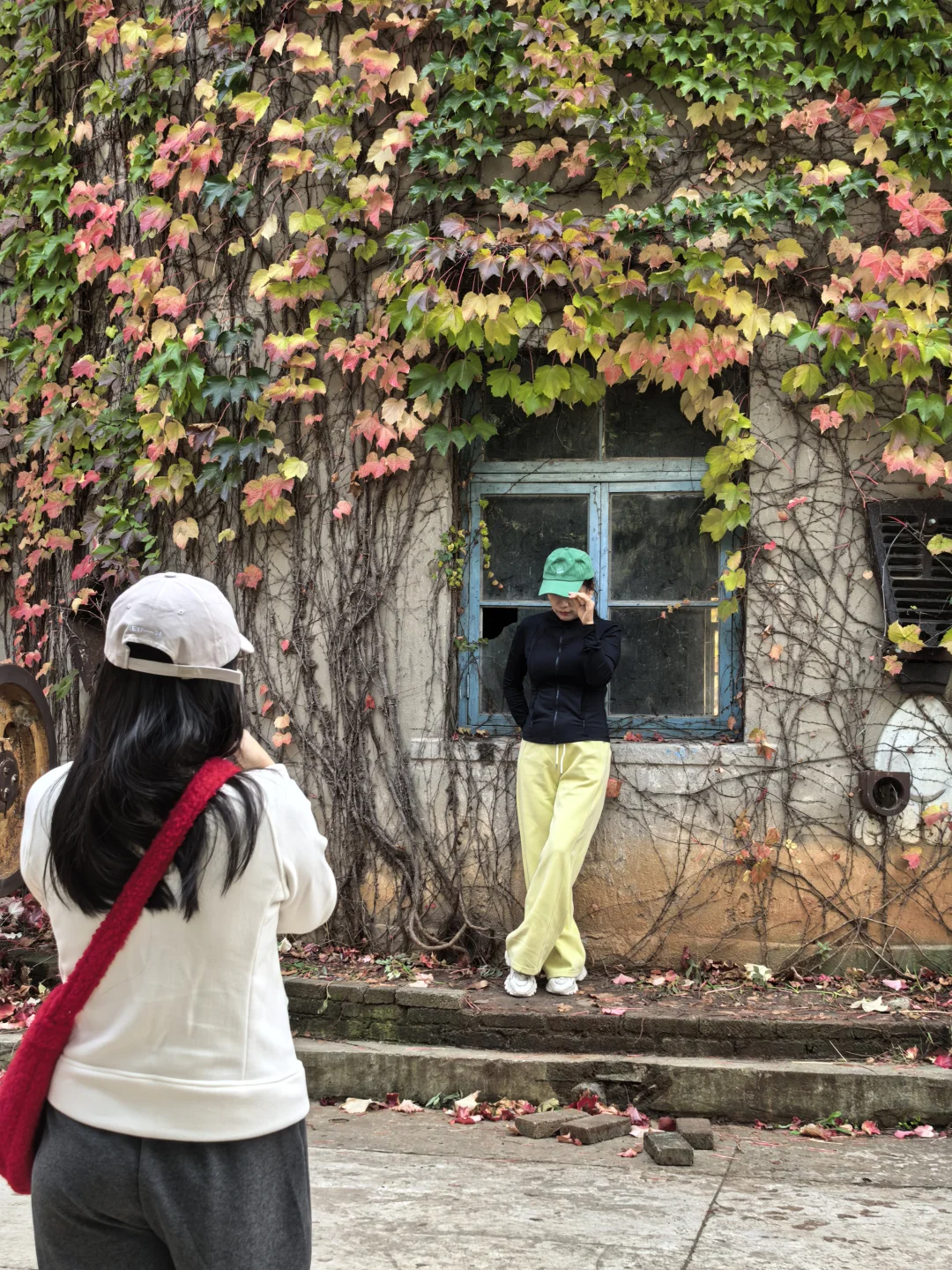 10.16日大连实况|秋天的大连🍁