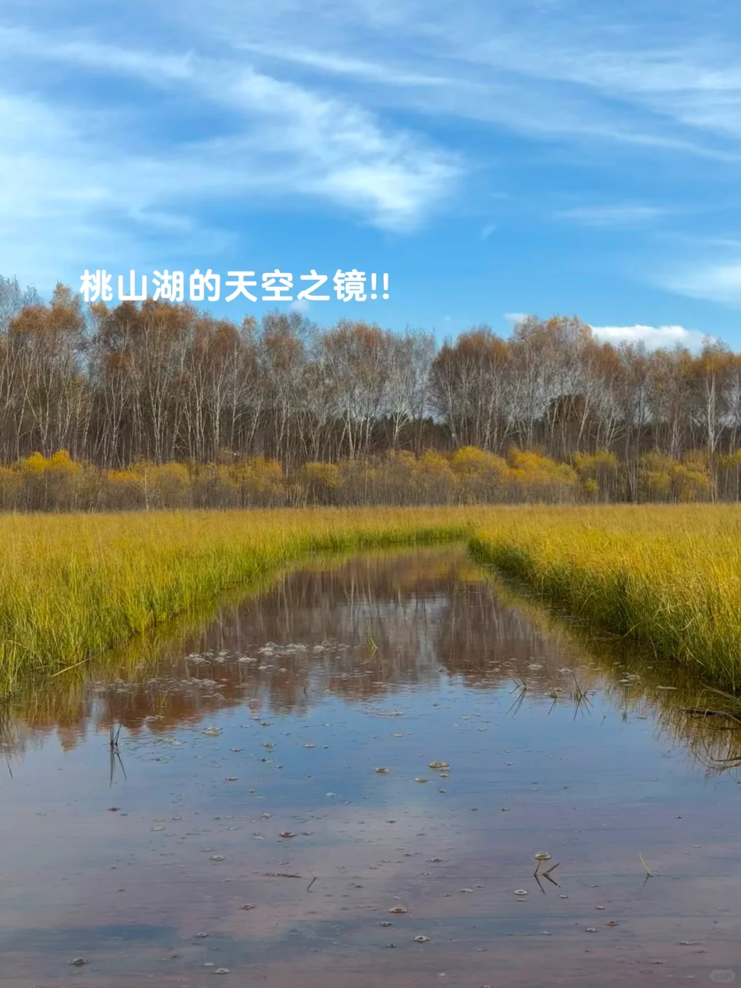 10.3塞罕坝!御道口!实况!!好美!!(攻略)