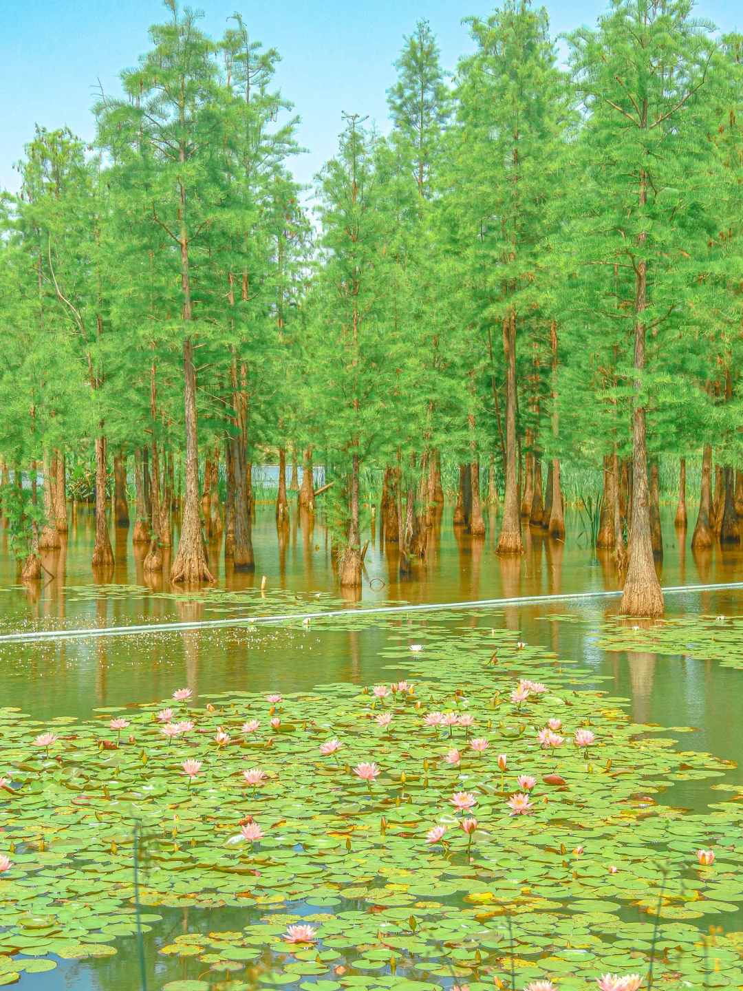 本来以为春熙路已经很好逛了。。。。。。。