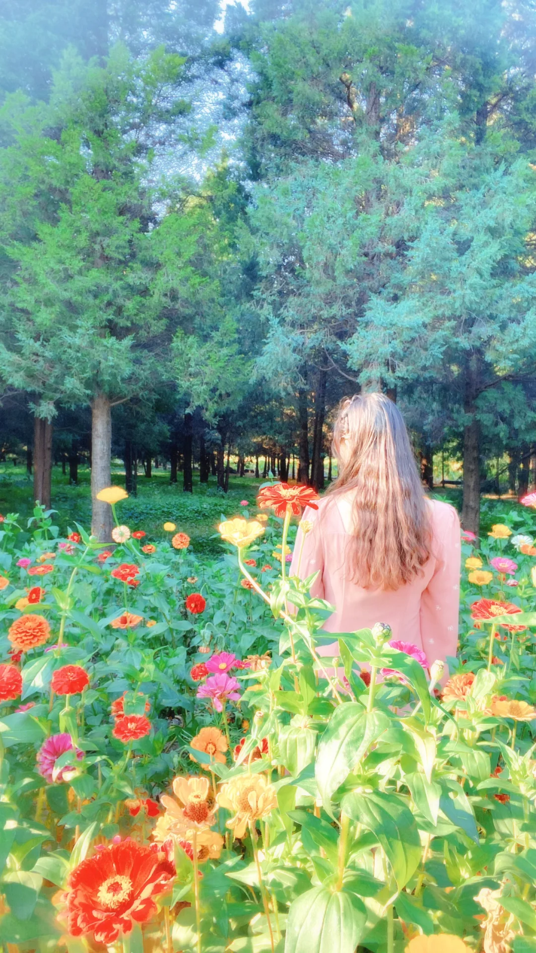秋 | 油画般的圆明园花海美疯了🍂