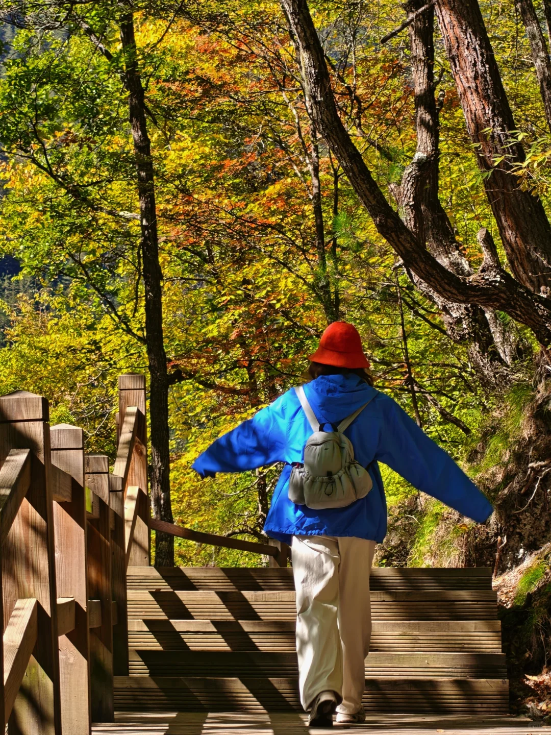 九寨沟很美,但我不会再去,原因在最后一张