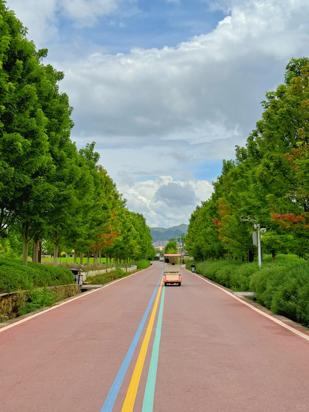 今年暑假,只想带娃去一个地方:贵州兴义