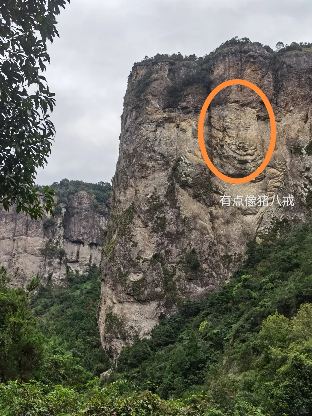 温州中雁荡山