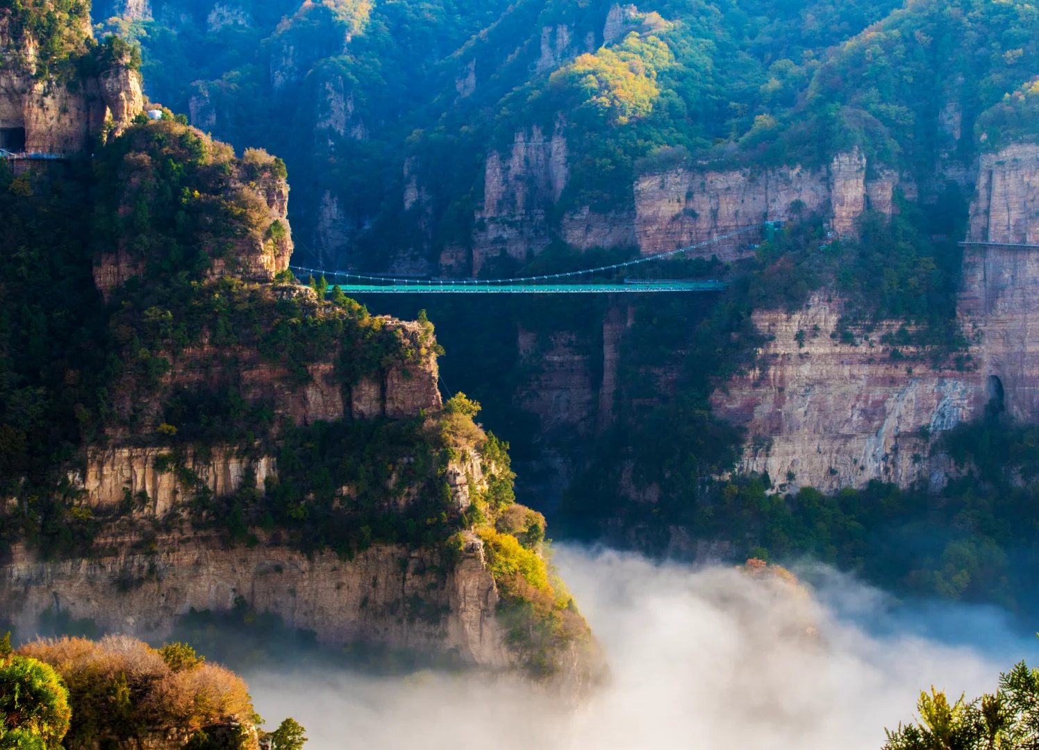 🍁 限时赏秋通告！兴隆山2025限定版秋色上线