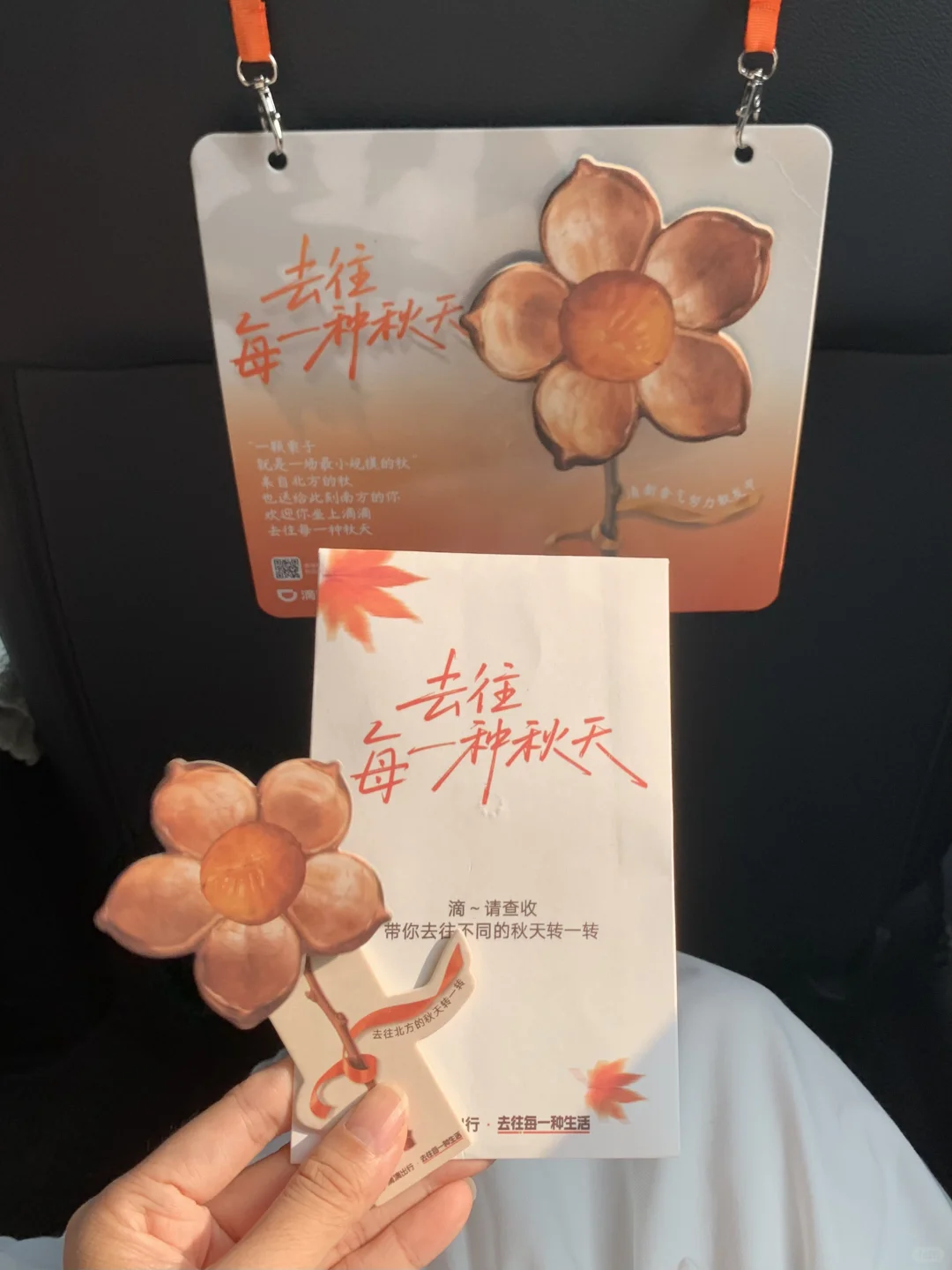 “后来我便逢人就说…秋天的广州有多美‼”