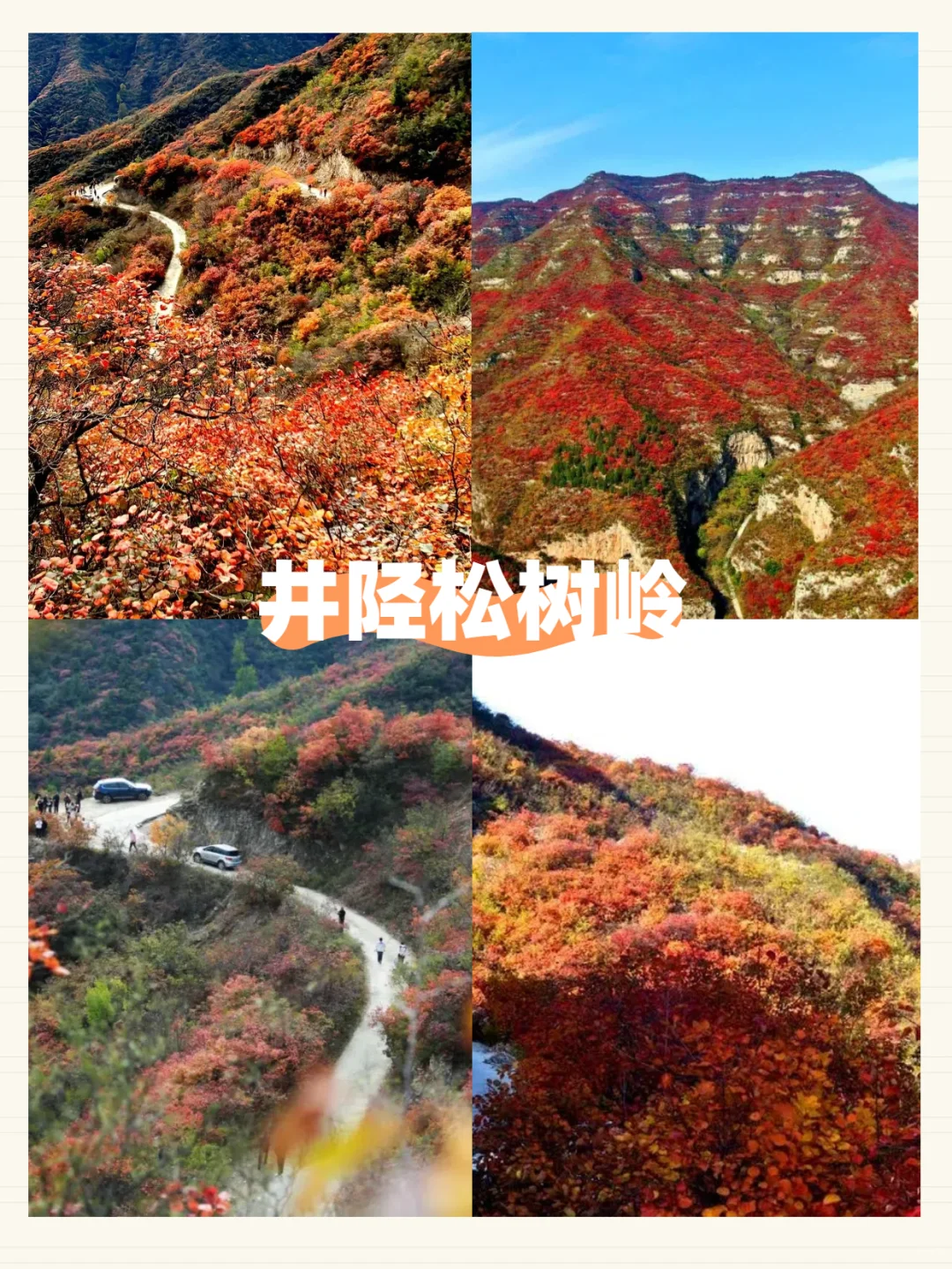 石家庄红叶景区段位排行‼️团建不踩雷！