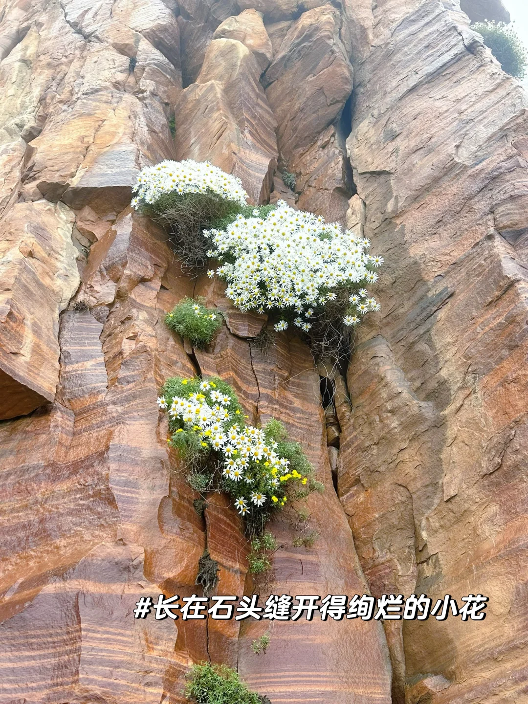 我在东太行撞见绝美云海！附保姆级攻略